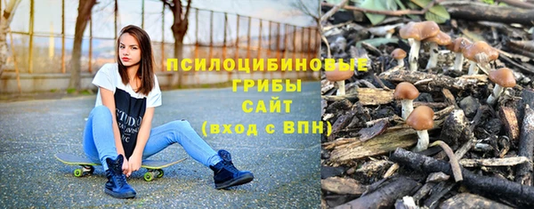 винт Аркадак